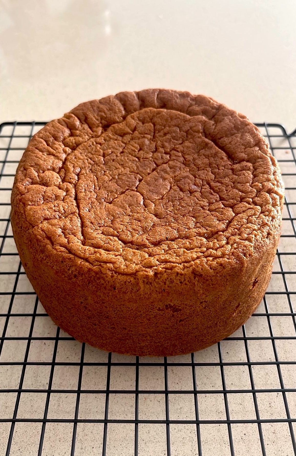 Coffee genoise cooling on a rack